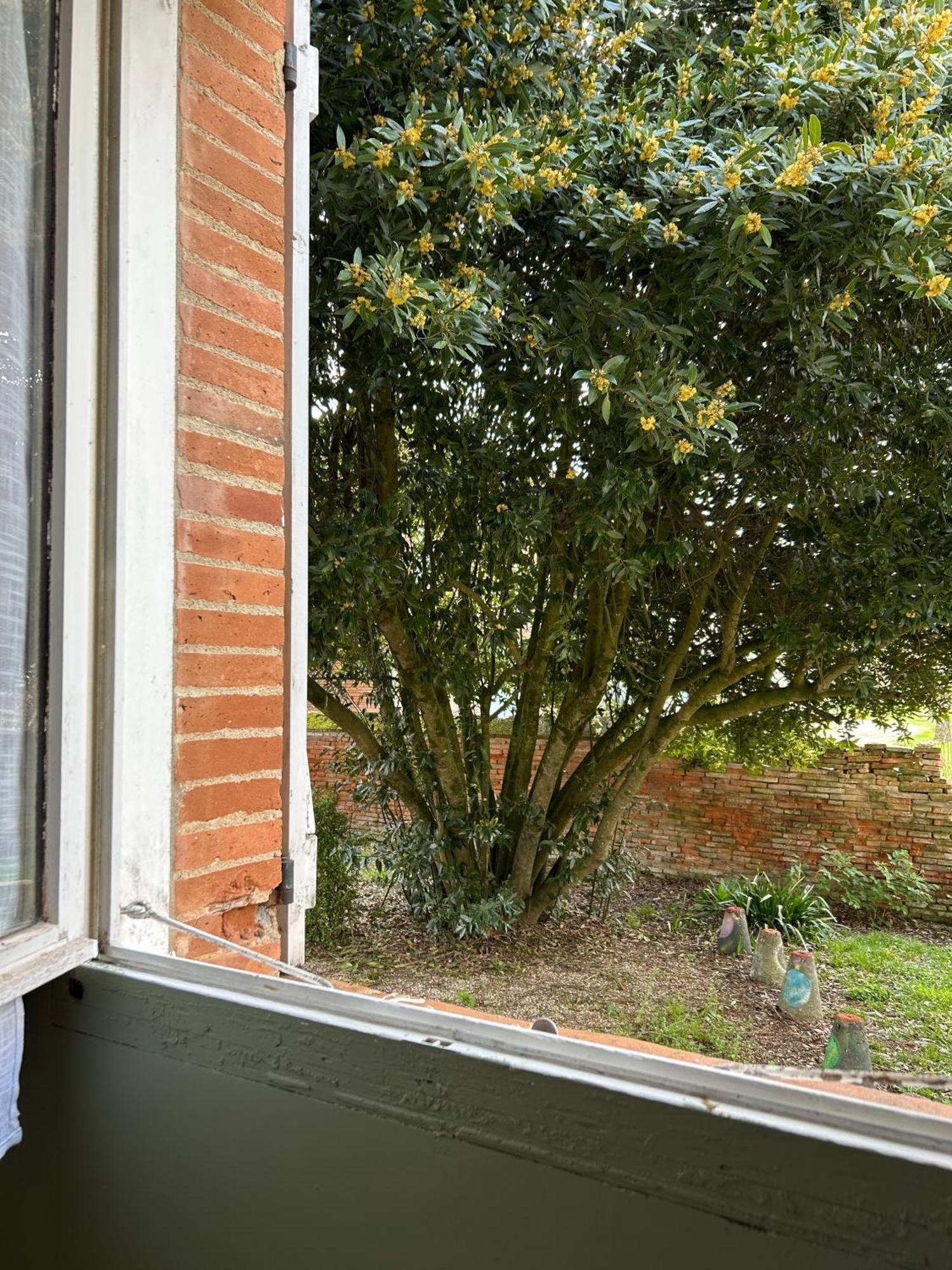 Manoir De La Gravette, Maison & Table D'Hotes Montauban Exterior photo